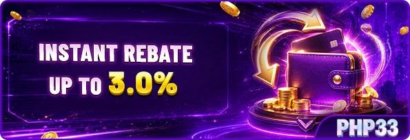 Supplied PHP33 promotion advertising instant rebate up to 3.0%